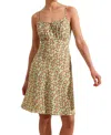 Ro&zo Sleeveless Ditsy Floral Mini Dress In Green
