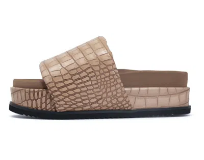 Roam Women's Striped Crocky Stack Slip-on In Beige In Brown