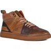 Roan Baranduin Sneaker In Multi