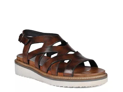 Roan Centrist Sandal In Brown