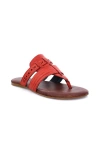 Roan Mixia Sandal In Animal Print