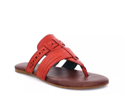 Roan Mixia Sandal In Orange