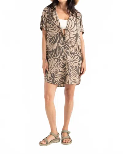 Roark Bless Up Dress In Khaki In Neutral