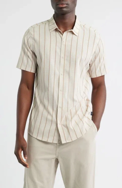 Roark Bless Up Short Sleeve Button-up Shirt In Animal Print