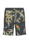 Roark Passage Swim Short In Grey