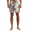 Roark Shorey 16" Paradaiso Boardshorts In Light Blue In Blue