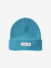 Roarsome Kids Beanie Hat In Blue