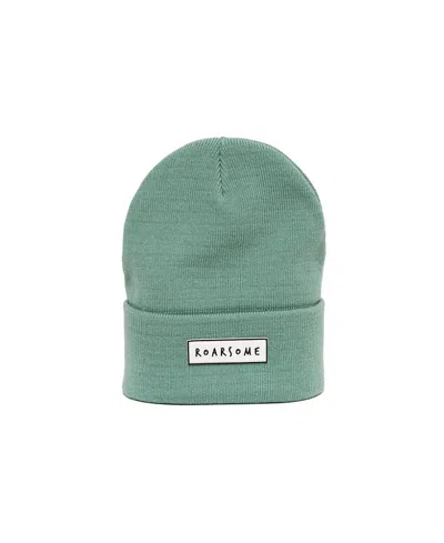 Roarsome Kids Knit Unisex Beanies In Green