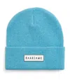 Roarsome Knitted Logo Beanie In Blue