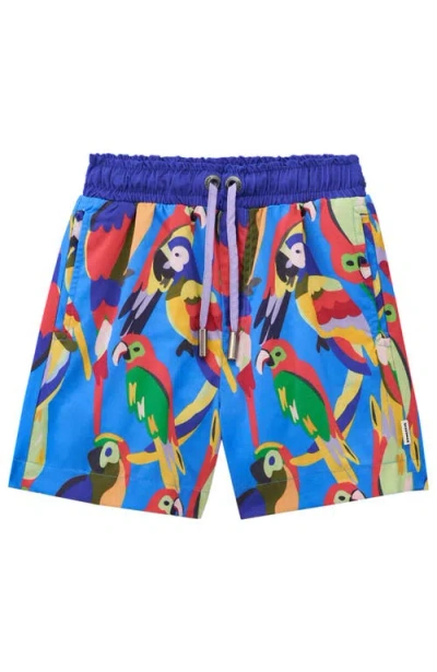 Roarsome Kids' Squawk The Parrot Printed Swim Trunks In Blue