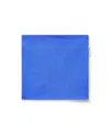 Roarsome Unisex Neck Warmer - Little Kid, Big Kid In Blue