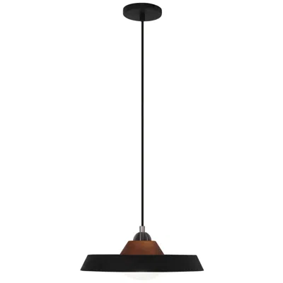 Robert Abbey Mavisten Edition Far 14" Wide Black And Wood Detail Pendant