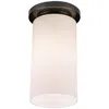 Robert Abbey Nina Bronze 6"w Flushmount Ceiling Light