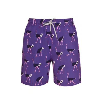 Robert & Son Beachwear Ltd Men's Pink / Purple Purple Ostrich- Pink & Purple In Pink/purple