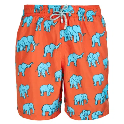 Robert & Son Beachwear Ltd Men's Red Elephant Swim Shorts In Multi