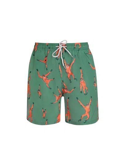 Robert & Son Beachwear Ltd Olive Green Orangutan Men's Swim Shorts