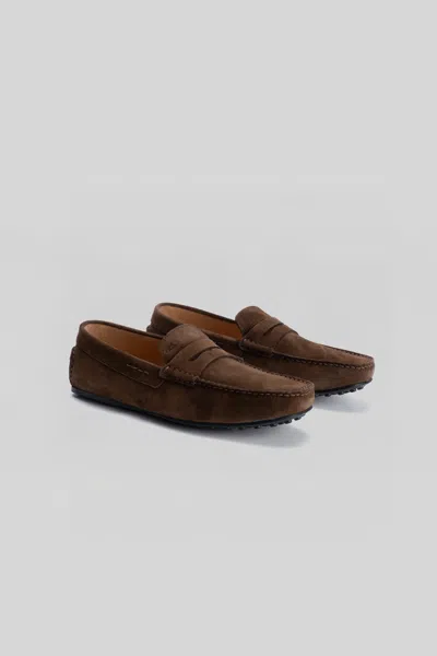 Robert Barakett Conor Suede Driving Loafer In Brown