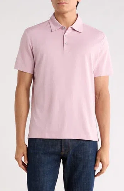 Robert Barakett Emiliano Polo In Pink
