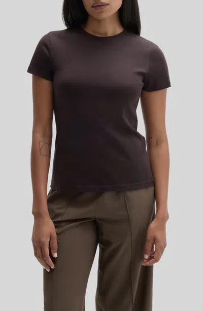 Robert Barakett Georgia Pima Cotton T-shirt In Brown