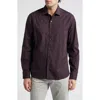 Robert Barakett Simon Solid Cotton Button-up Shirt In Port