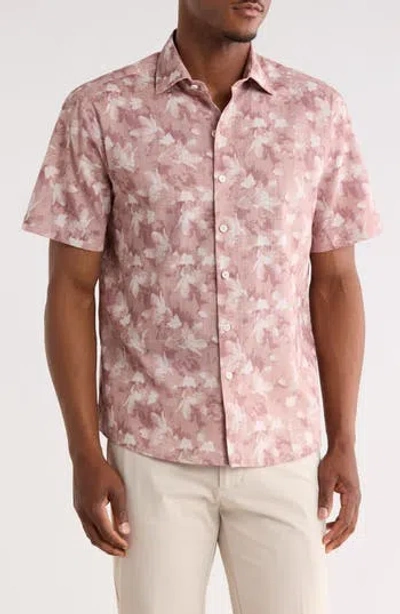 Robert Barakett Umberto Short Sleeve Button-up Shirt In Pink