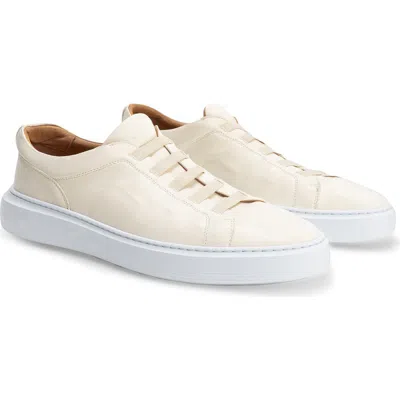 Robert Barakett Williams Stretch Lace Sneaker In White