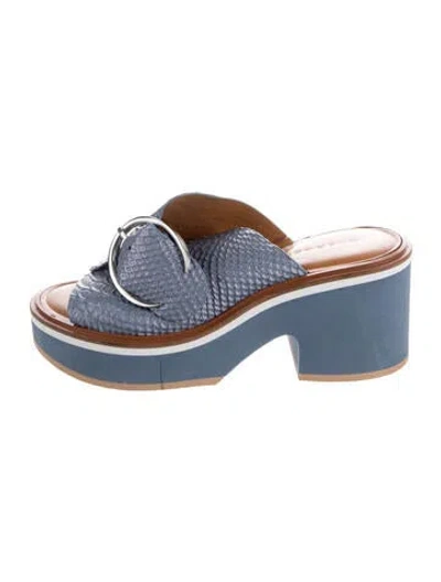 Pre-owned Robert Clergerie Leather Animal Print Slides In Blue