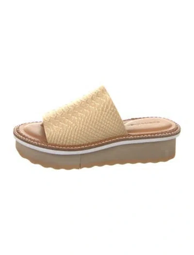 Pre-owned Robert Clergerie Leather Animal Print Slides In Neutrals