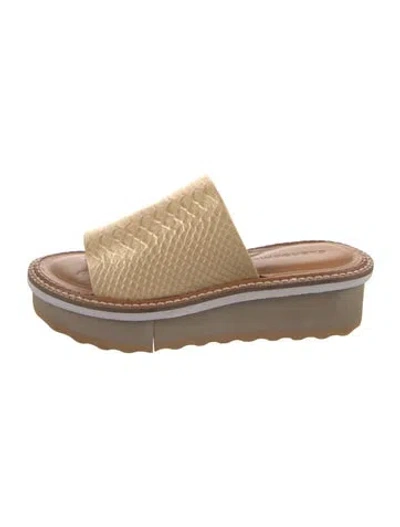 Pre-owned Robert Clergerie Leather Colorblock Pattern Slides W/ Tags In Brown