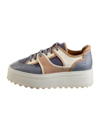 Pre-owned Robert Clergerie Leather Printed Sneakers In Silver