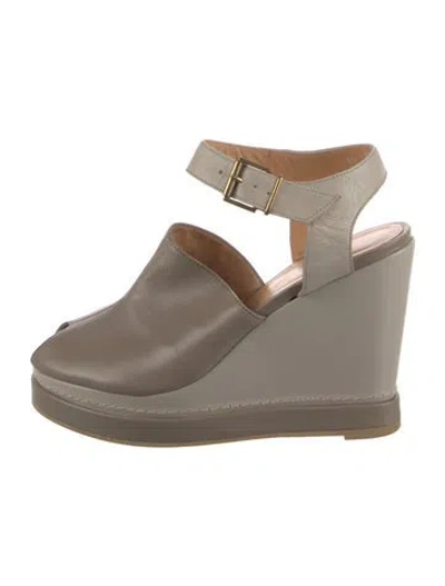 Pre-owned Robert Clergerie Leather Pumps In Gray