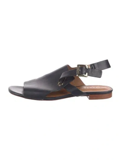 Pre-owned Robert Clergerie Leather Sandals In Blue