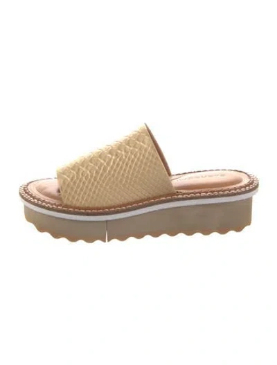 Pre-owned Robert Clergerie Leather Slides In Brown