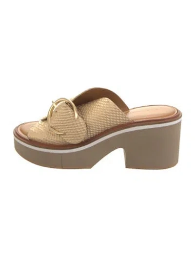 Pre-owned Robert Clergerie Leather Slides In Multi