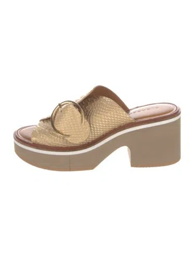 Pre-owned Robert Clergerie Leather Slides In Neutral