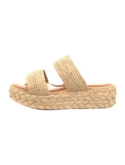 Pre-owned Robert Clergerie Raffia Floral Print Espadrilles In Neutral