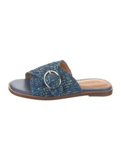 Pre-owned Robert Clergerie Raffia Patterned Slides In Blue