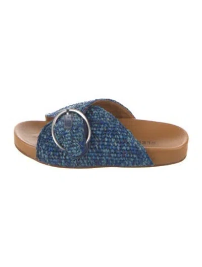 Pre-owned Robert Clergerie Raffia Patterned Slides In Blue