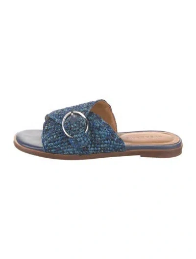 Pre-owned Robert Clergerie Raffia Slides In Blue