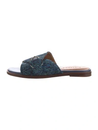 Pre-owned Robert Clergerie Raffia Slides In Blue