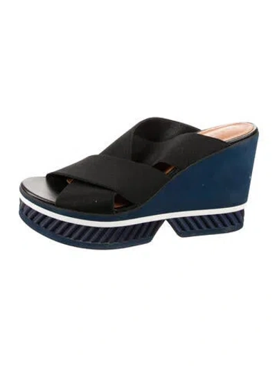 Pre-owned Robert Clergerie Slides In Blue