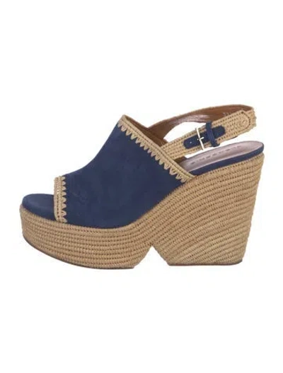 Pre-owned Robert Clergerie Suede Printed Espadrilles In Blue