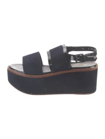 Pre-owned Robert Clergerie Suede Sandals In Blue