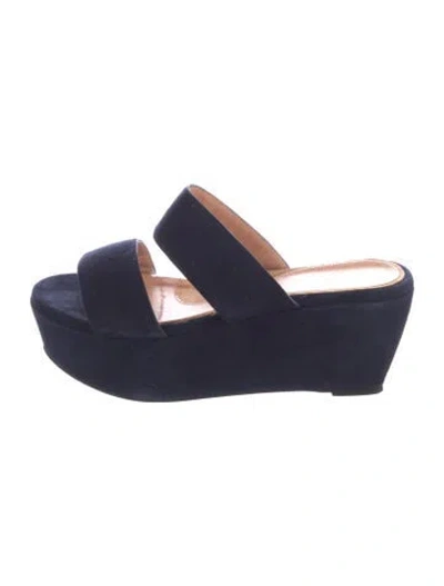 Pre-owned Robert Clergerie Suede Sandals In Blue