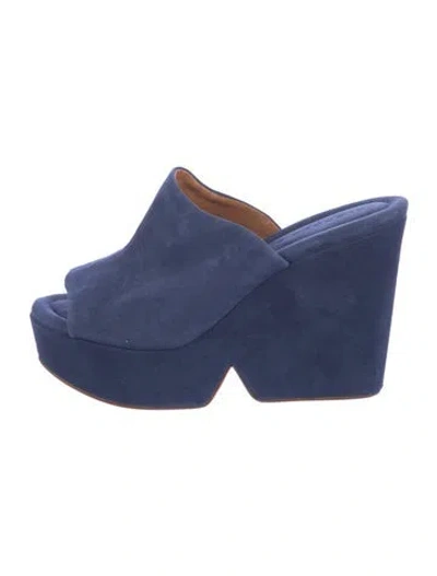 Pre-owned Robert Clergerie Suede Sandals In Blue