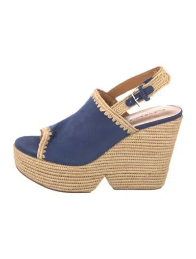 Pre-owned Robert Clergerie Suede Sandals In Blue