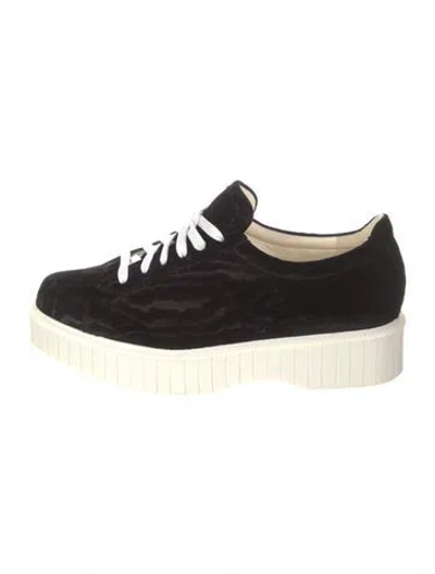 Pre-owned Robert Clergerie Velvet Sneakers In Black