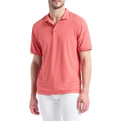 Robert Graham Aaron Knit Polo In Pink