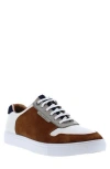 Robert Graham Ainsworth Perforated Sneaker In Cognac
