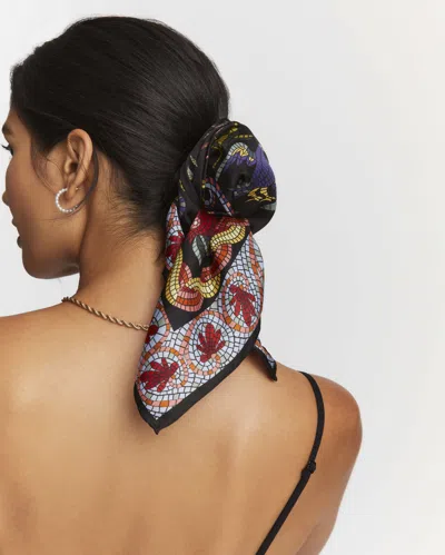 Robert Graham Animalsanctuary Scarf In Multi
